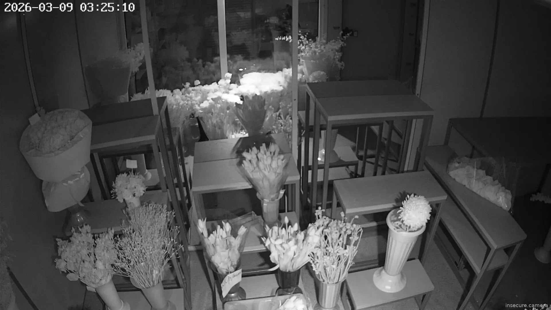 Capture from Mar 08, 2026 at 10:25 PM