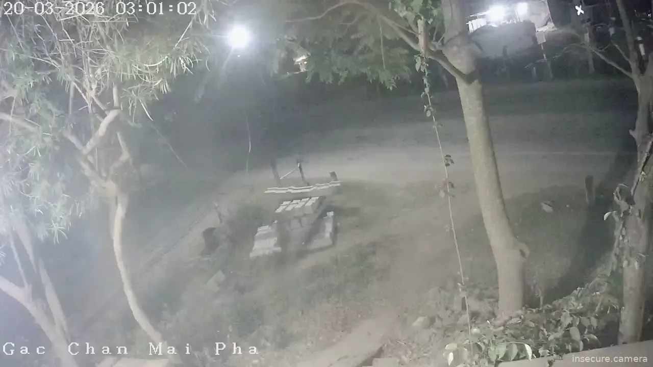 Capture from Mar 19, 2026 at 08:01 PM