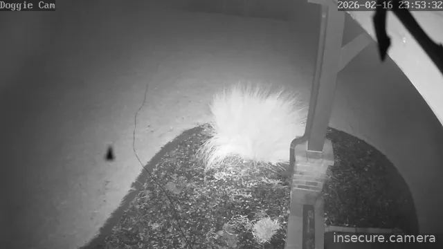 Camera in United States