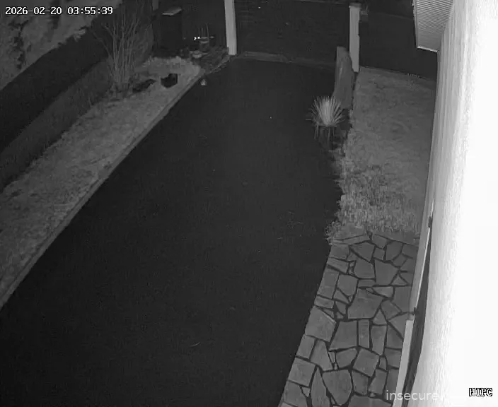 Capture from Feb 20, 2026 at 02:56 AM