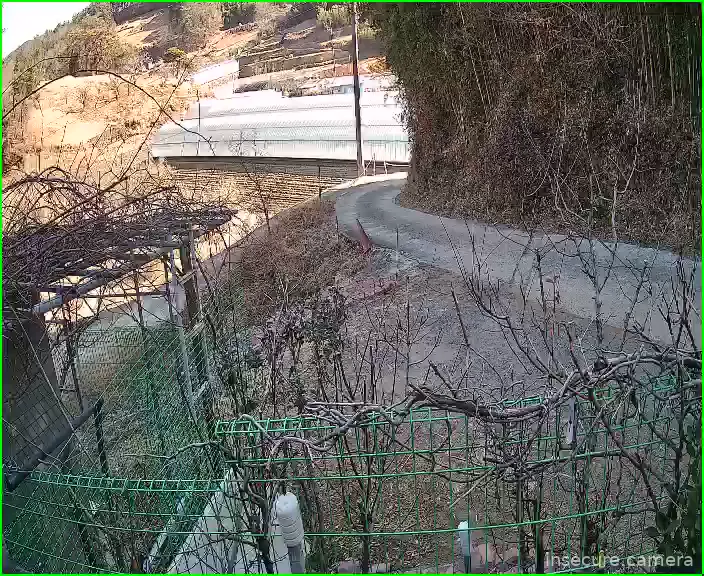 Capture from Feb 19, 2026 at 12:36 AM