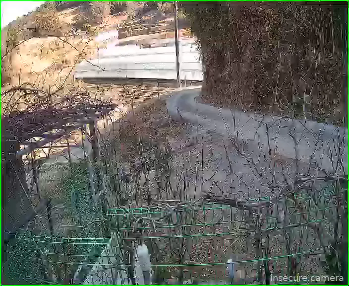 Capture from Feb 19, 2026 at 12:45 AM