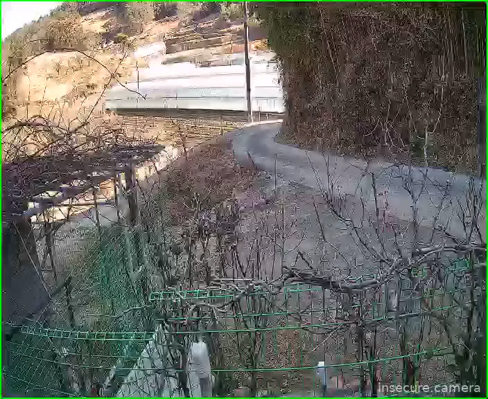 Capture from Feb 19, 2026 at 12:49 AM