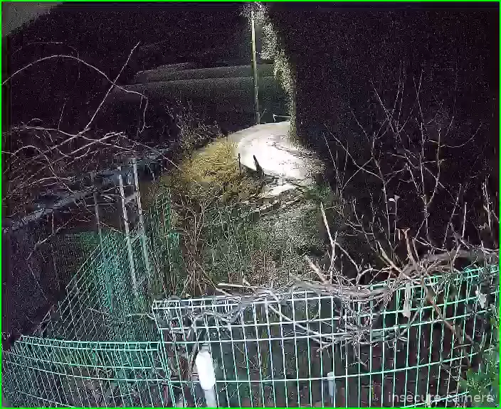 Camera in South Korea