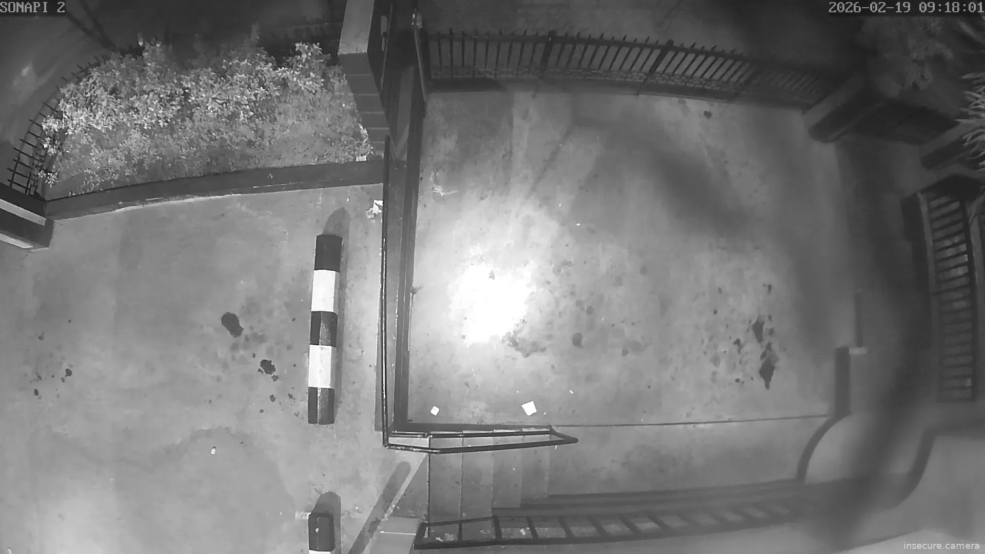 Capture from Feb 19, 2026 at 01:19 AM