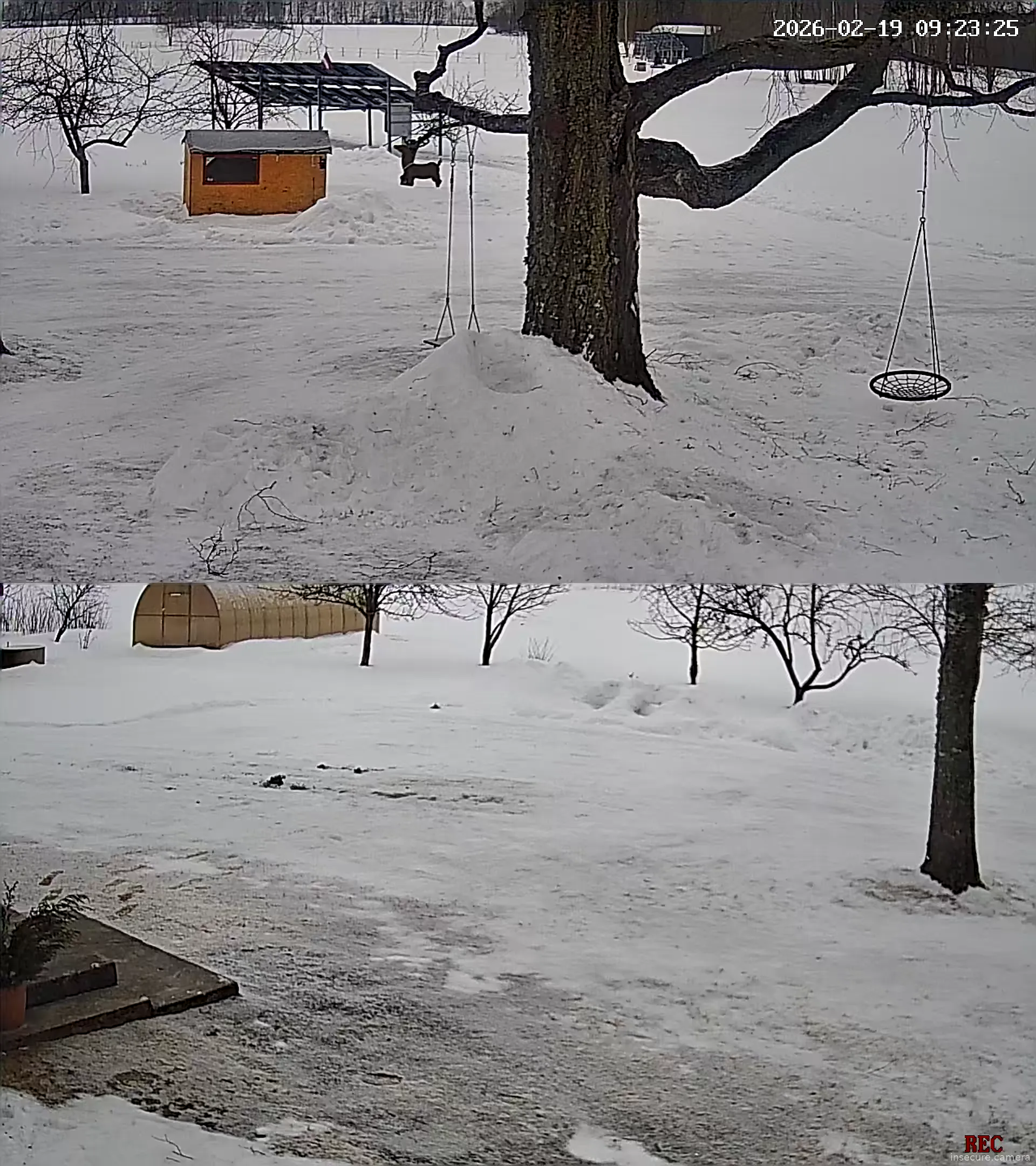 Capture from Feb 19, 2026 at 07:23 AM