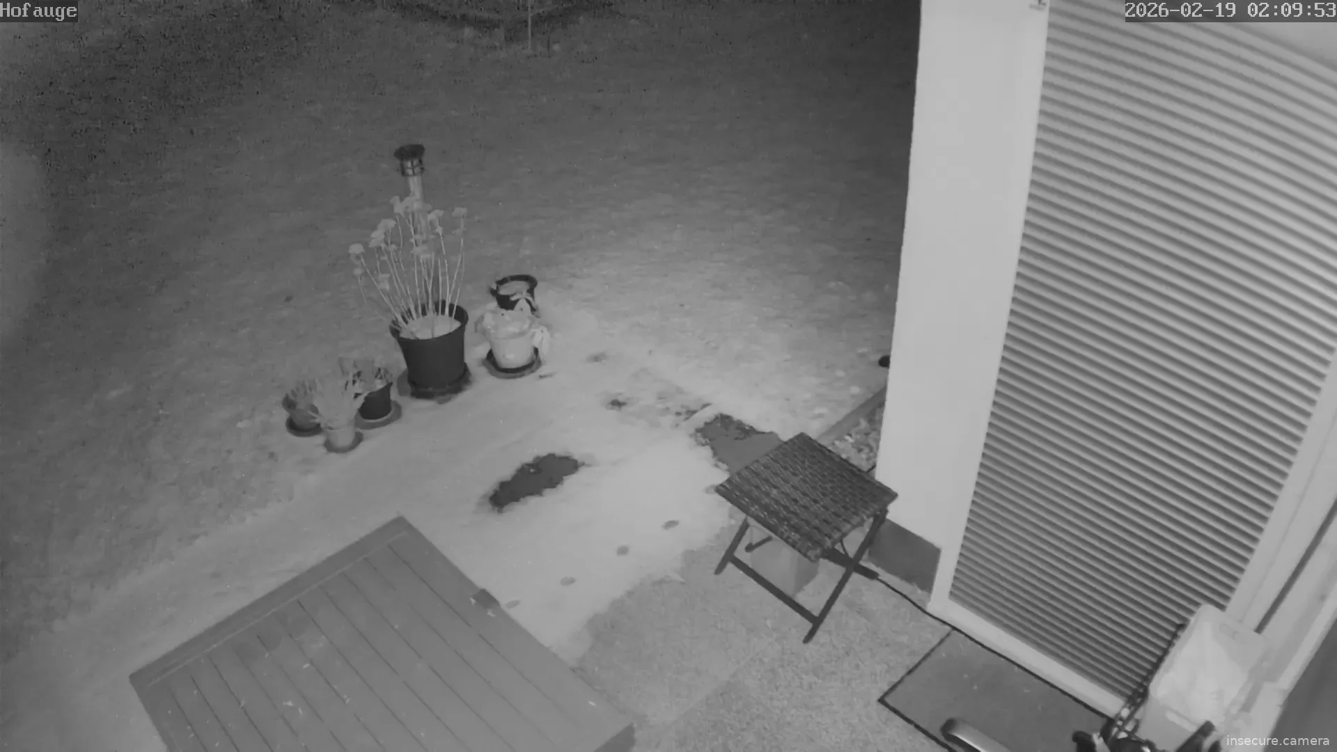 Capture from Feb 19, 2026 at 01:10 AM