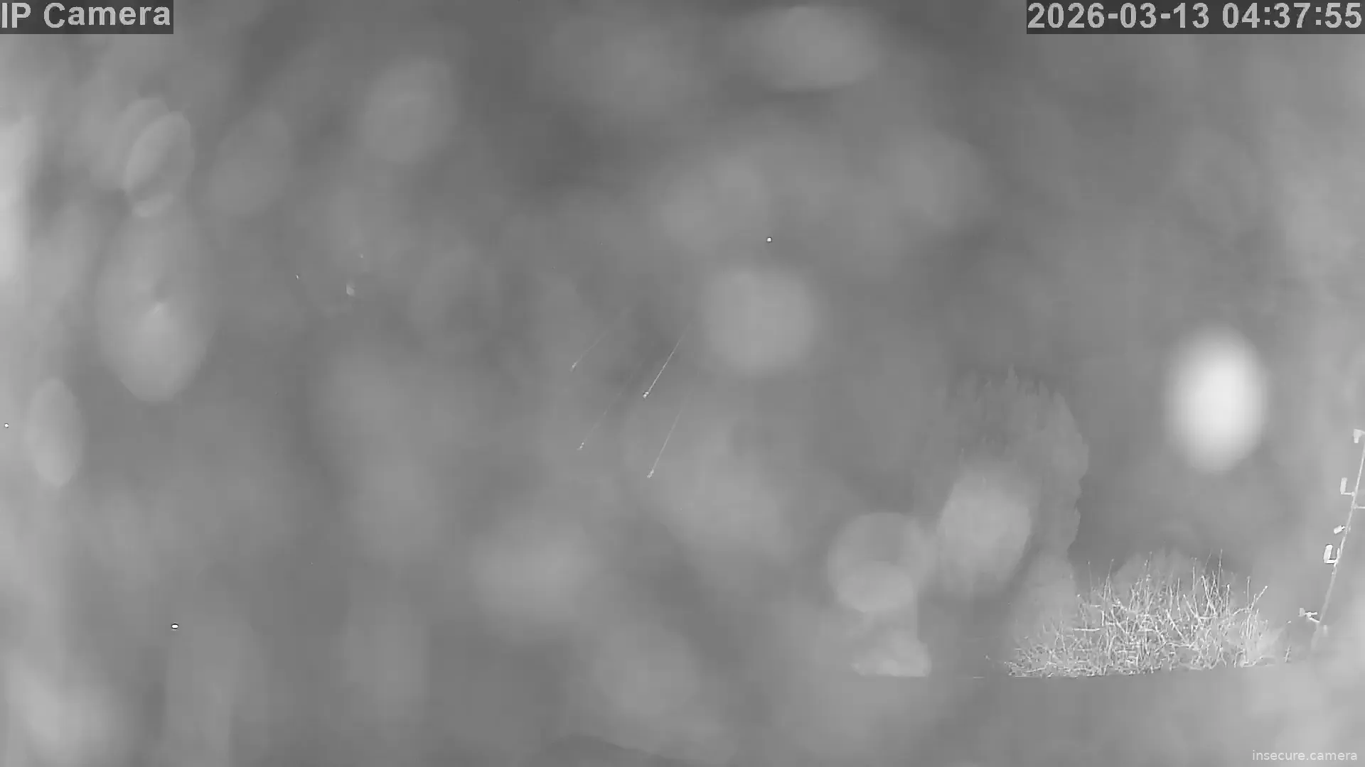 Capture from Mar 12, 2026 at 08:38 PM