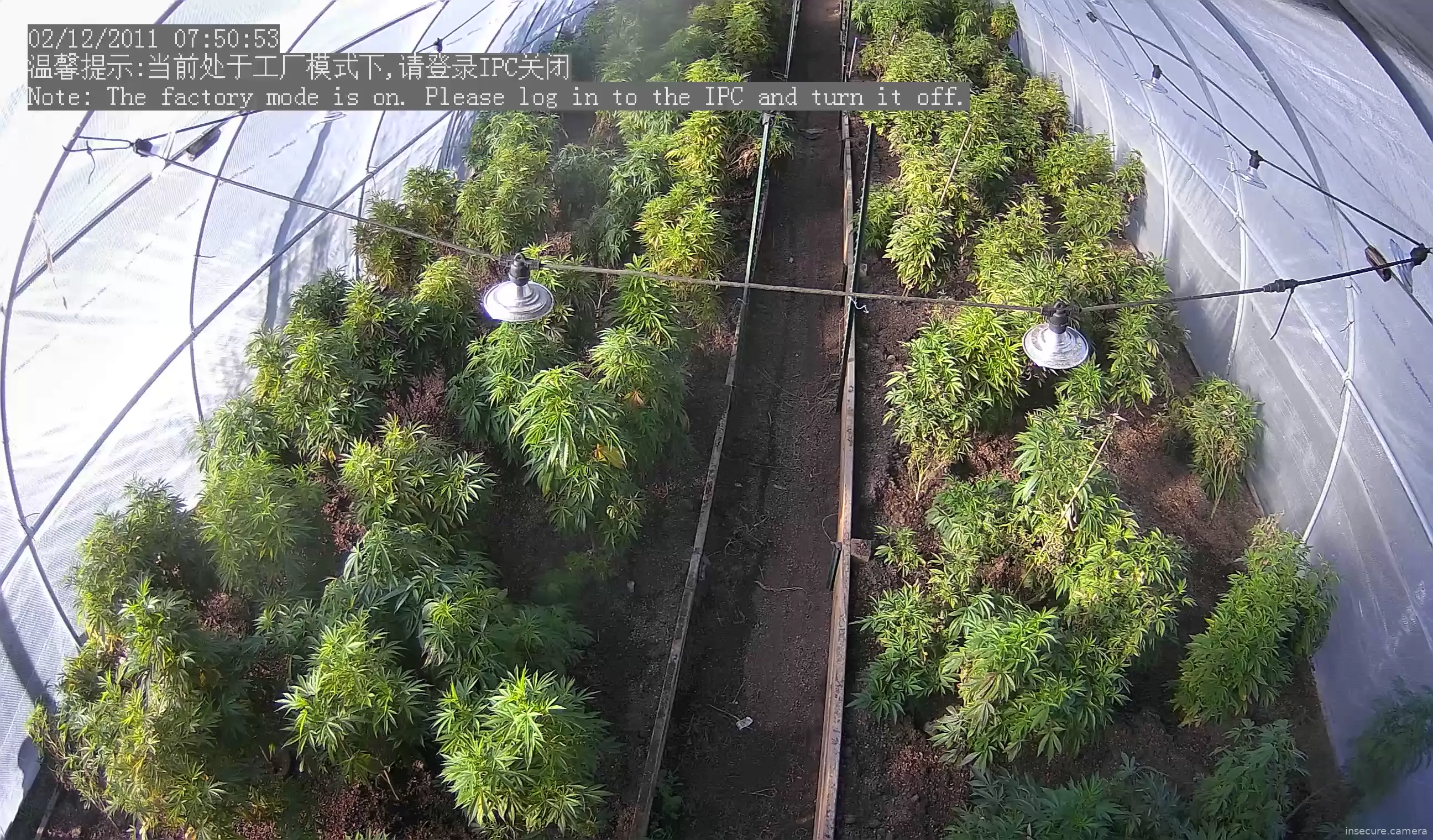 Camera in United States