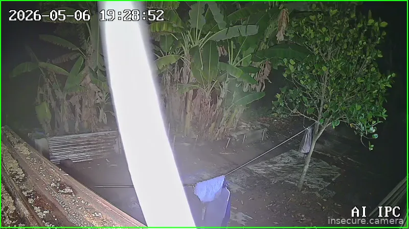 Camera in Vietnam