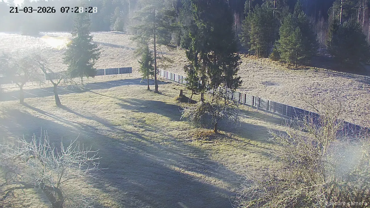 Camera in Estonia