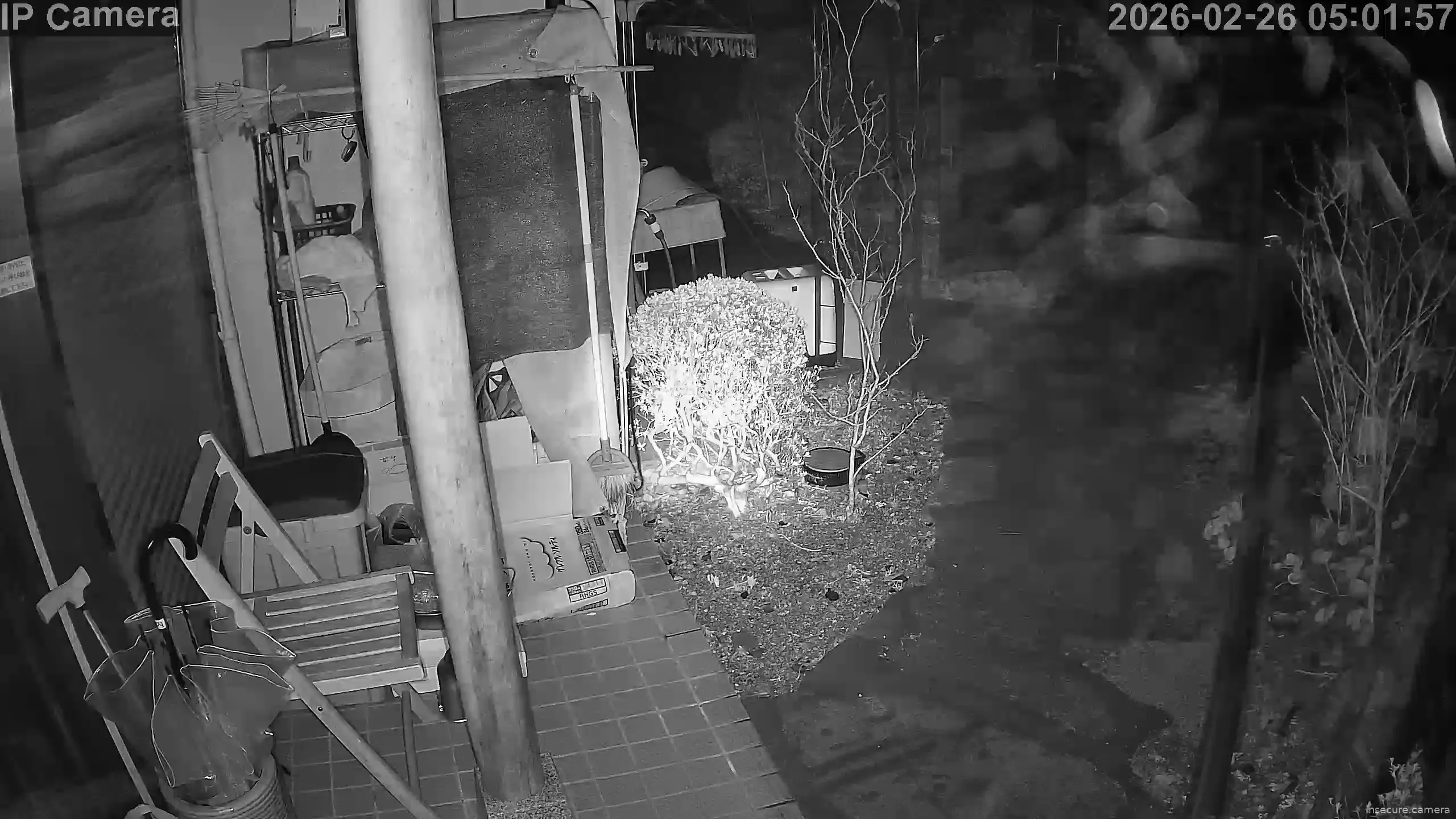 Capture from Feb 25, 2026 at 08:02 PM