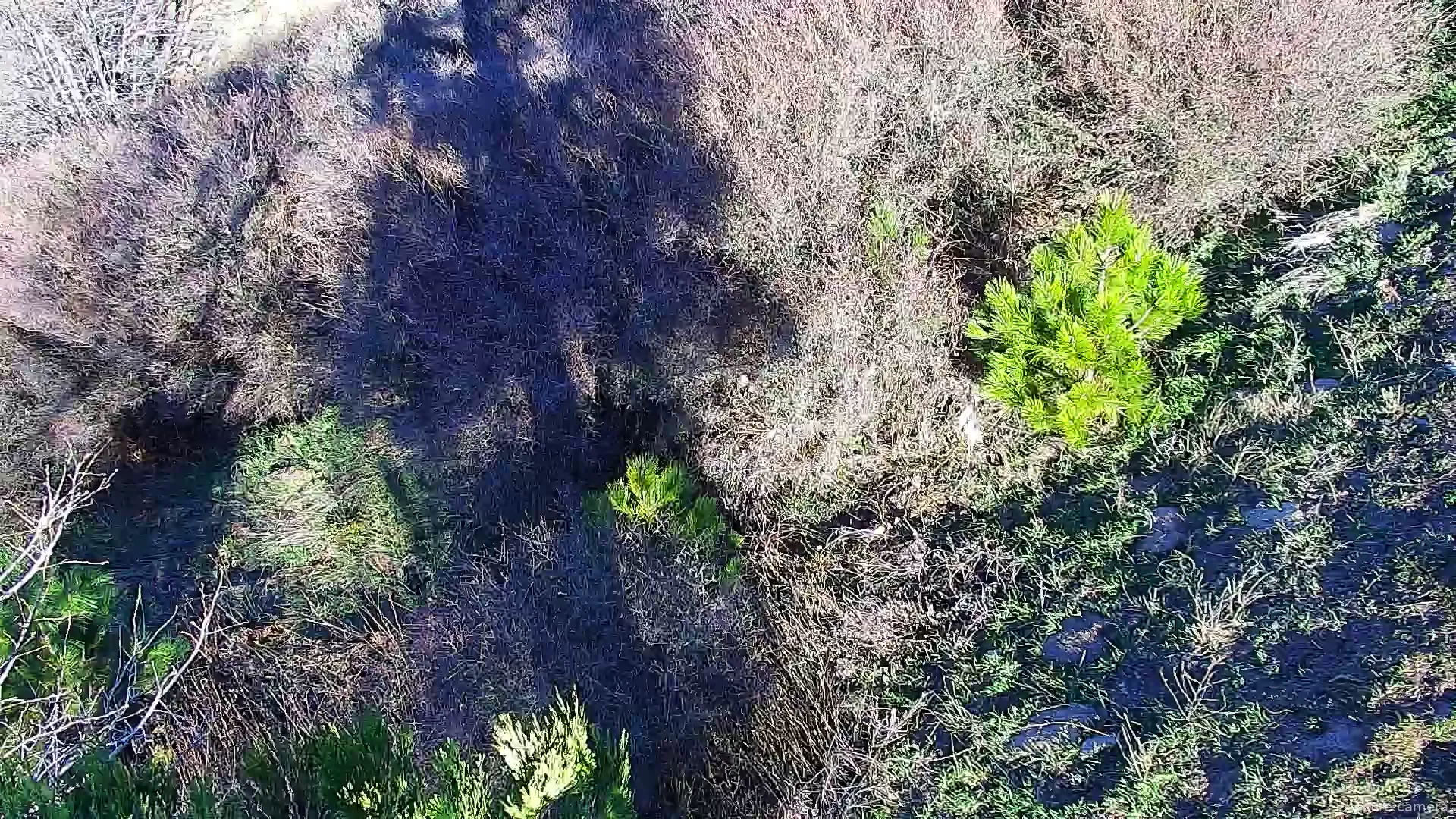 Capture from Mar 01, 2026 at 03:59 PM