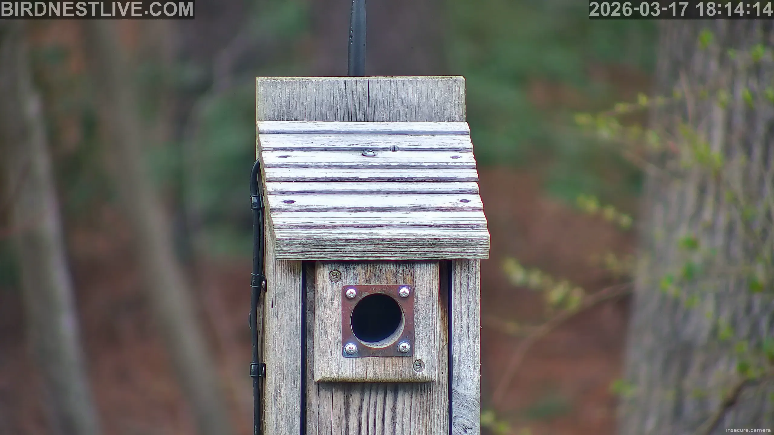 Capture from Mar 17, 2026 at 10:14 PM