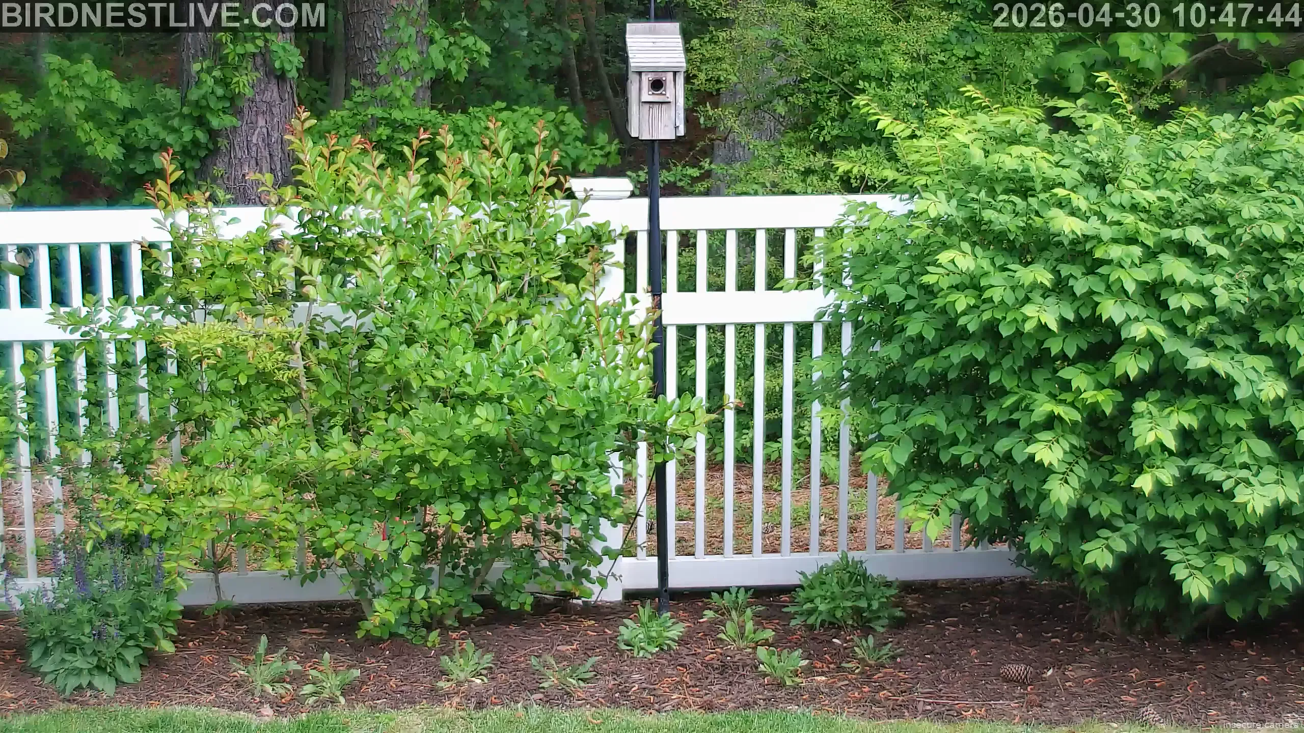 Capture from Apr 30, 2026 at 02:48 PM