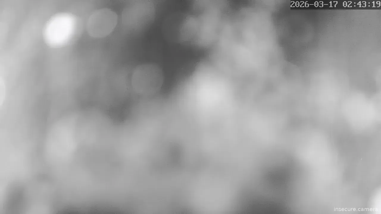 Capture from Mar 16, 2026 at 11:43 PM