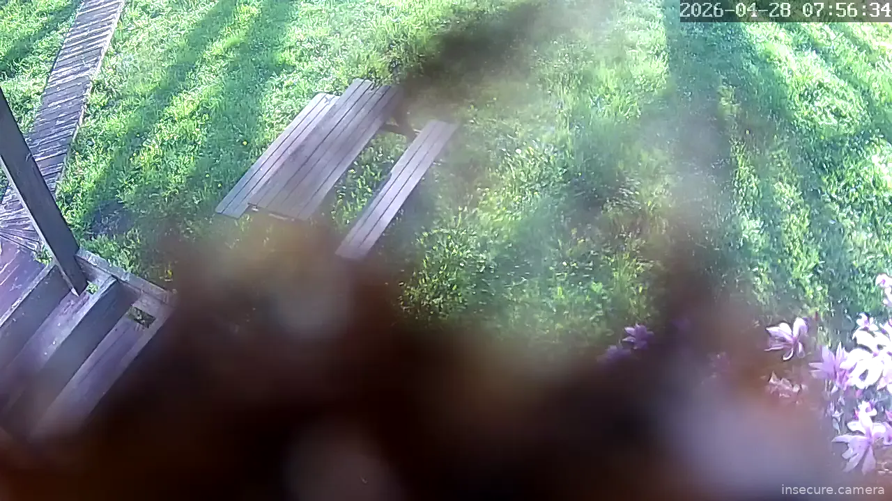 Capture from Apr 28, 2026 at 04:56 AM
