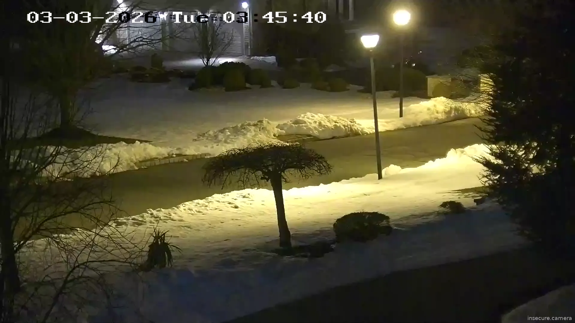 Capture from Mar 03, 2026 at 08:45 AM