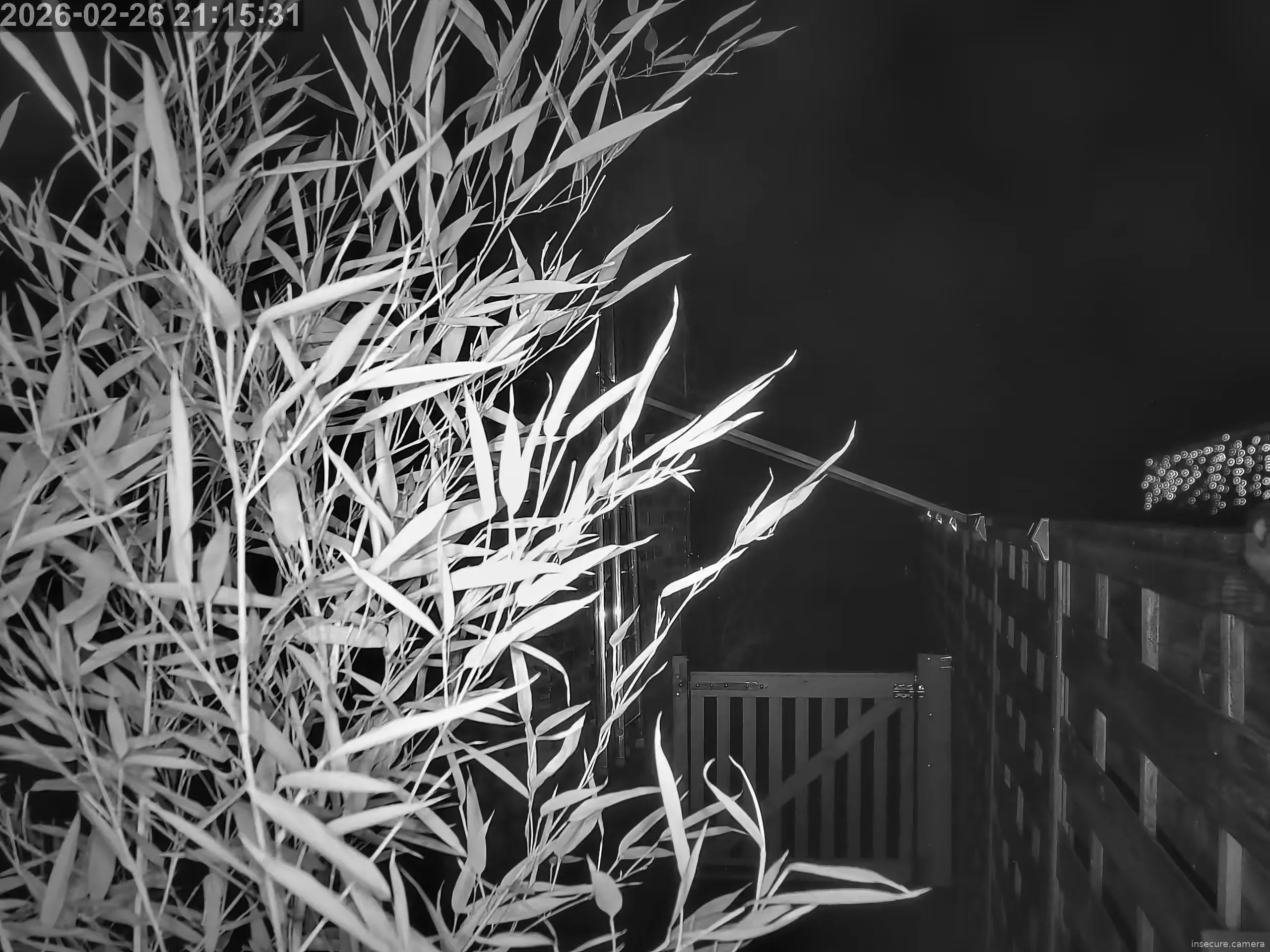 Capture from Feb 26, 2026 at 08:16 PM