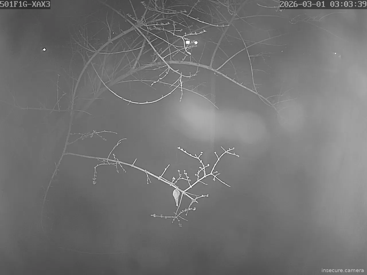 Capture from Feb 28, 2026 at 07:04 PM