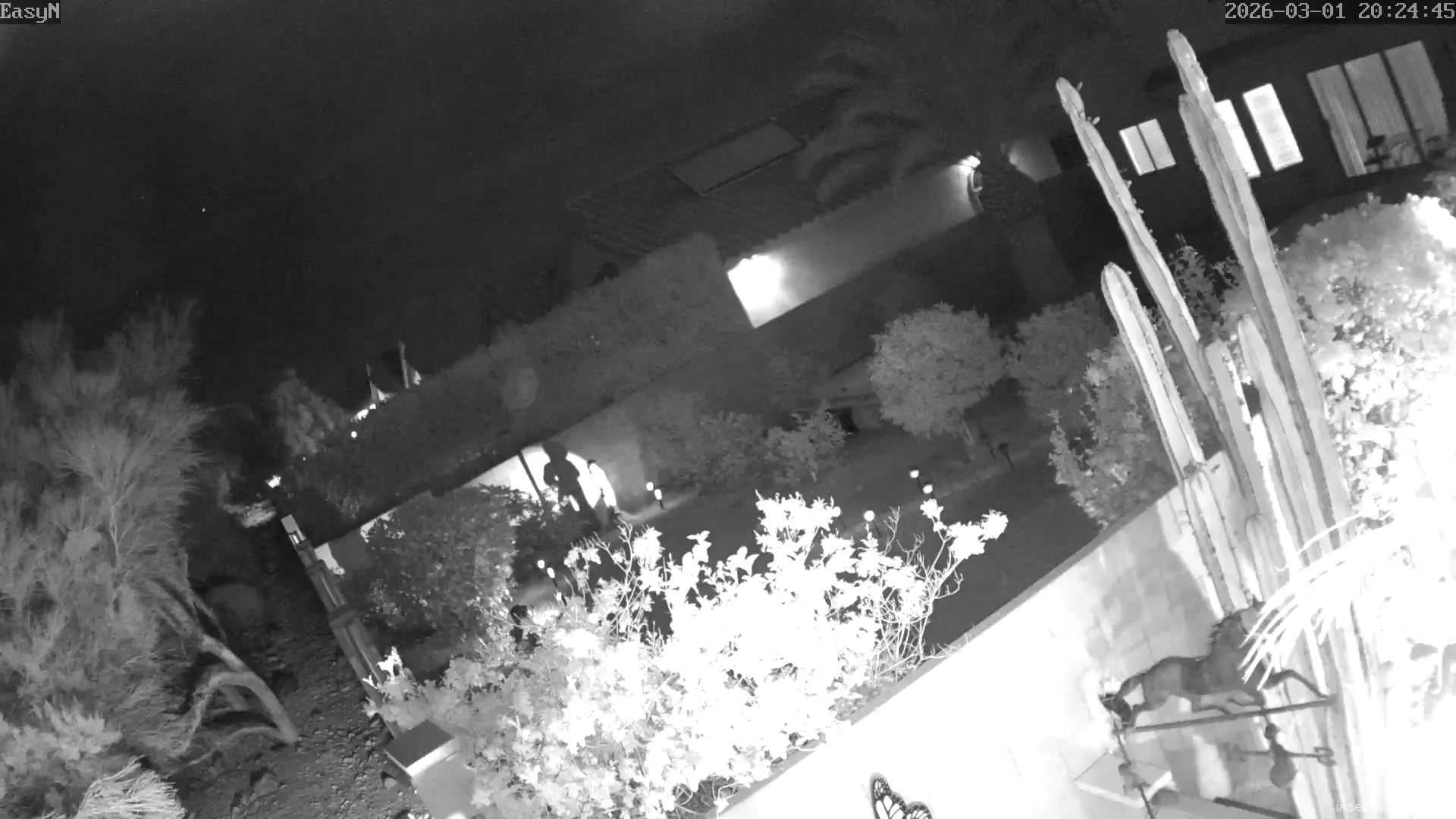 Camera in United States