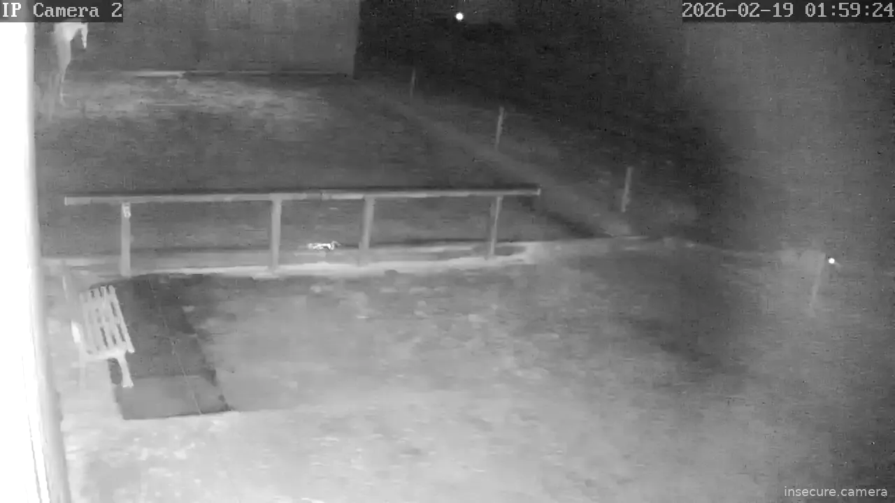 Capture from Feb 19, 2026 at 01:00 AM