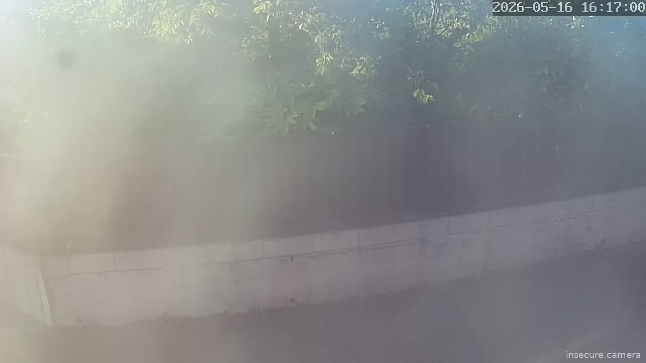 Camera in Japan