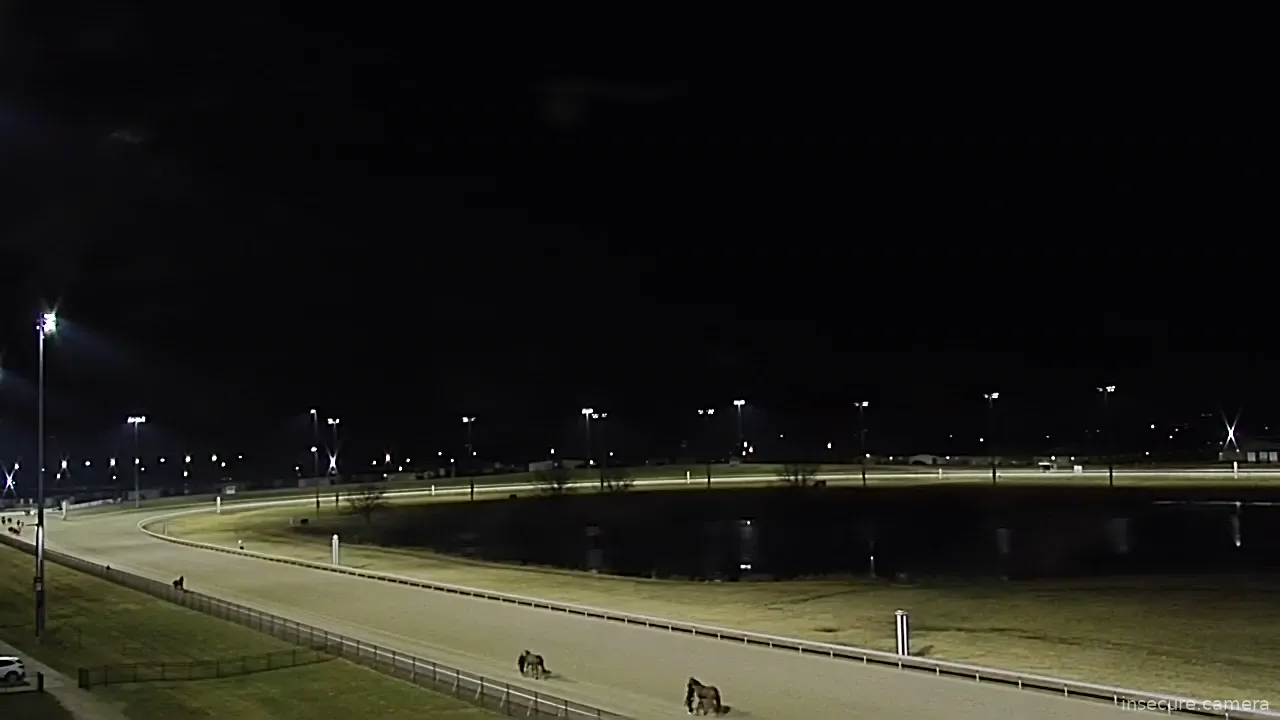 Capture from Feb 19, 2026 at 03:03 AM