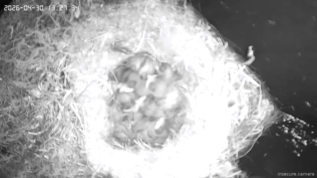 Capture from Apr 30, 2026 at 12:27 PM