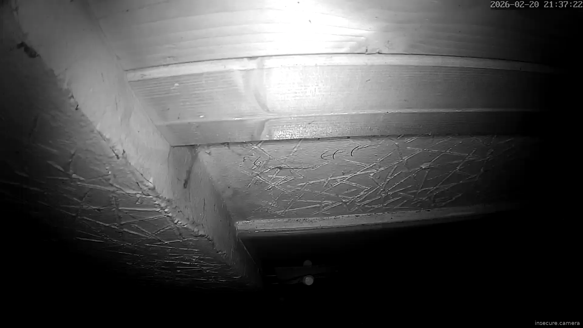 Capture from Feb 20, 2026 at 12:37 PM