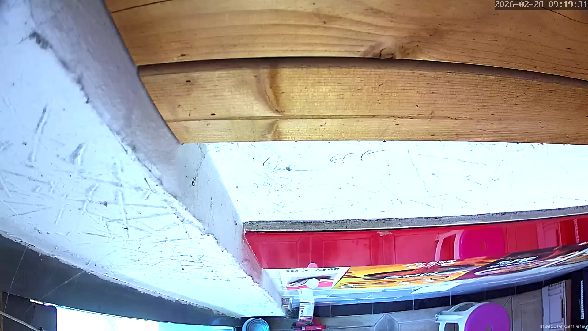 Camera in South Korea