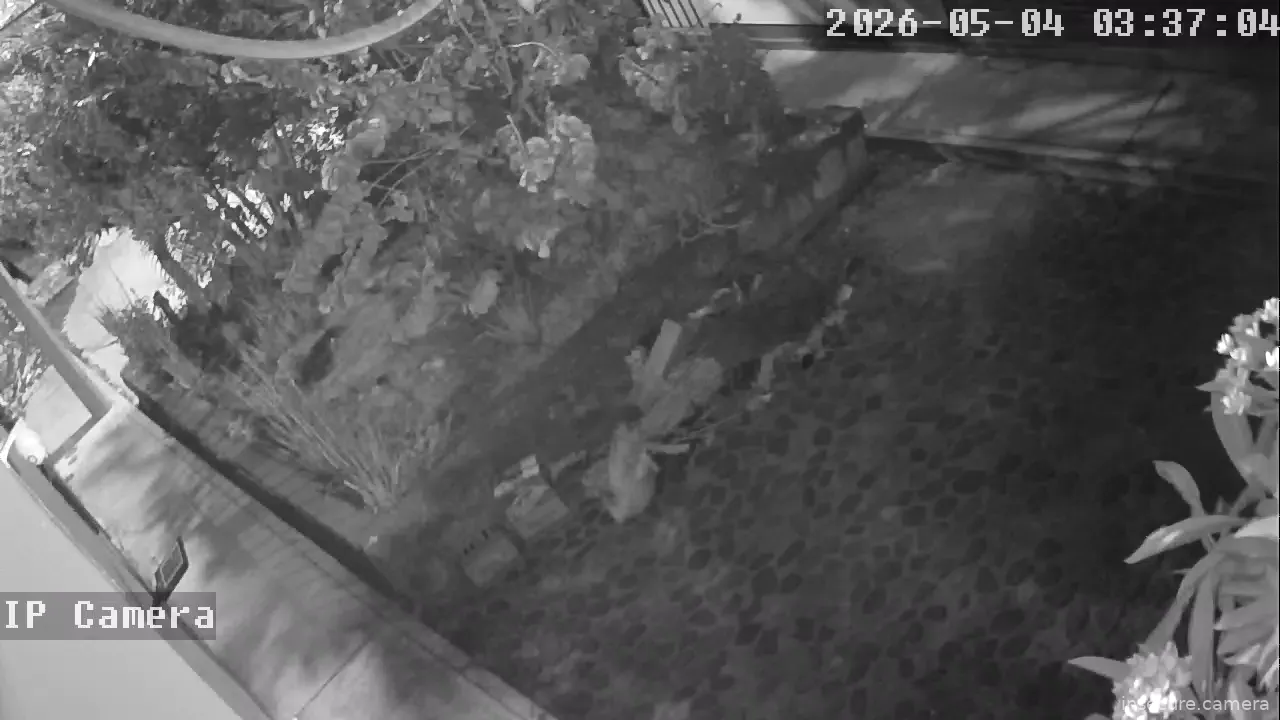 Camera in Mexico