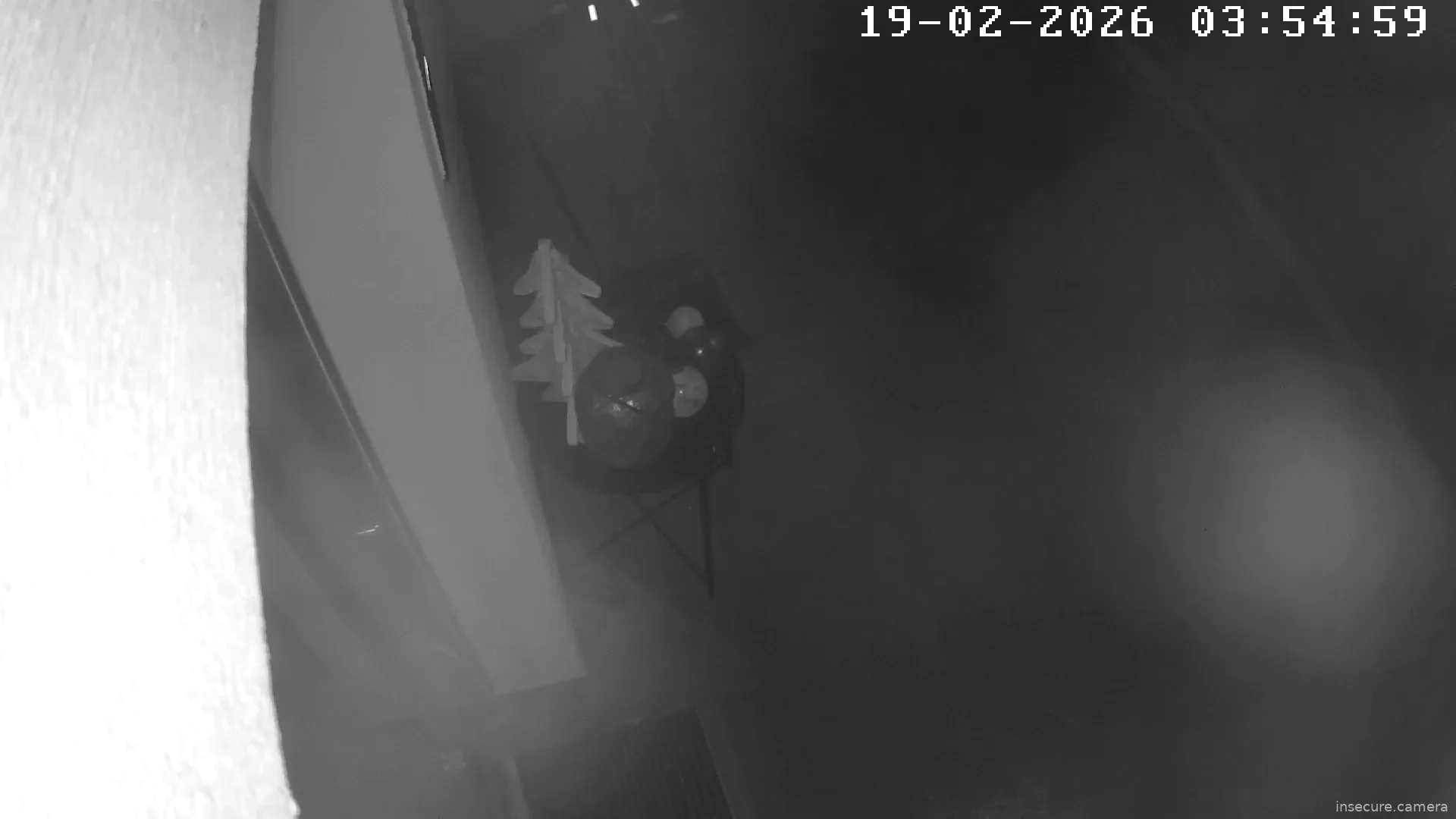 Capture from Feb 19, 2026 at 02:55 AM