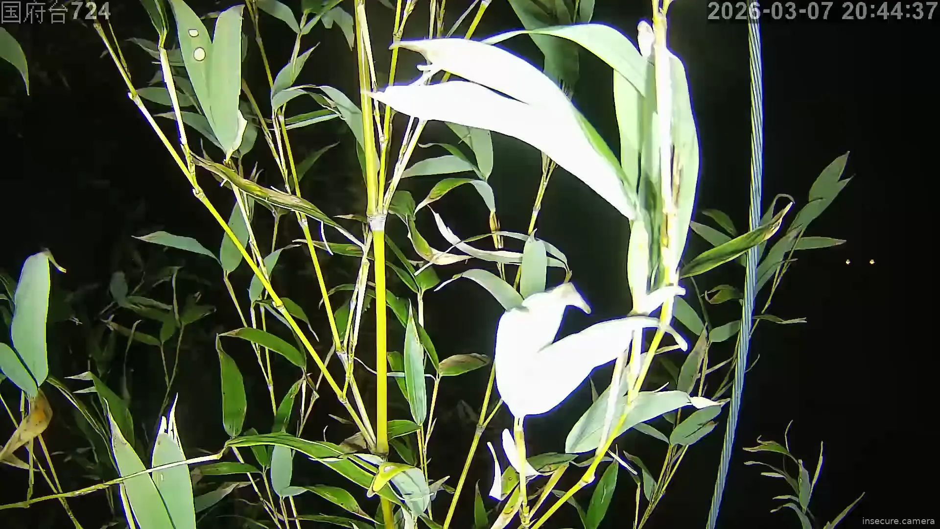 Capture from Mar 07, 2026 at 11:45 AM