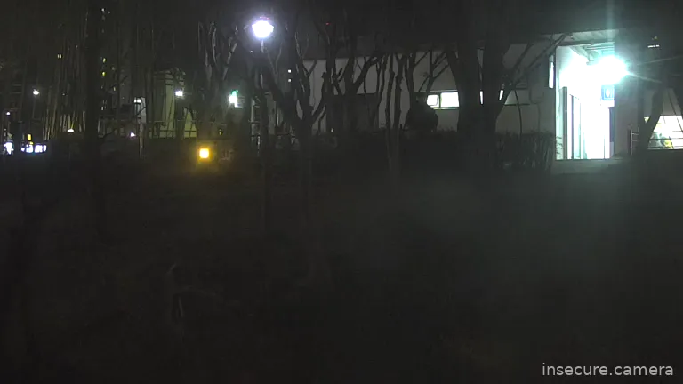 Capture from Feb 19, 2026 at 11:45 AM