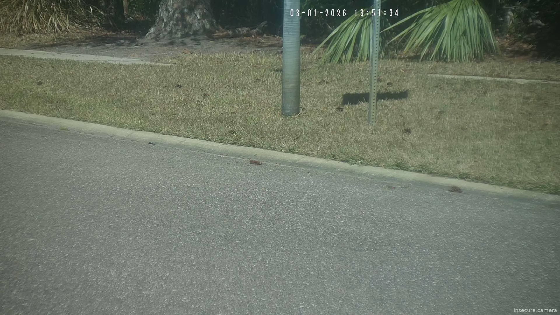 Camera in United States