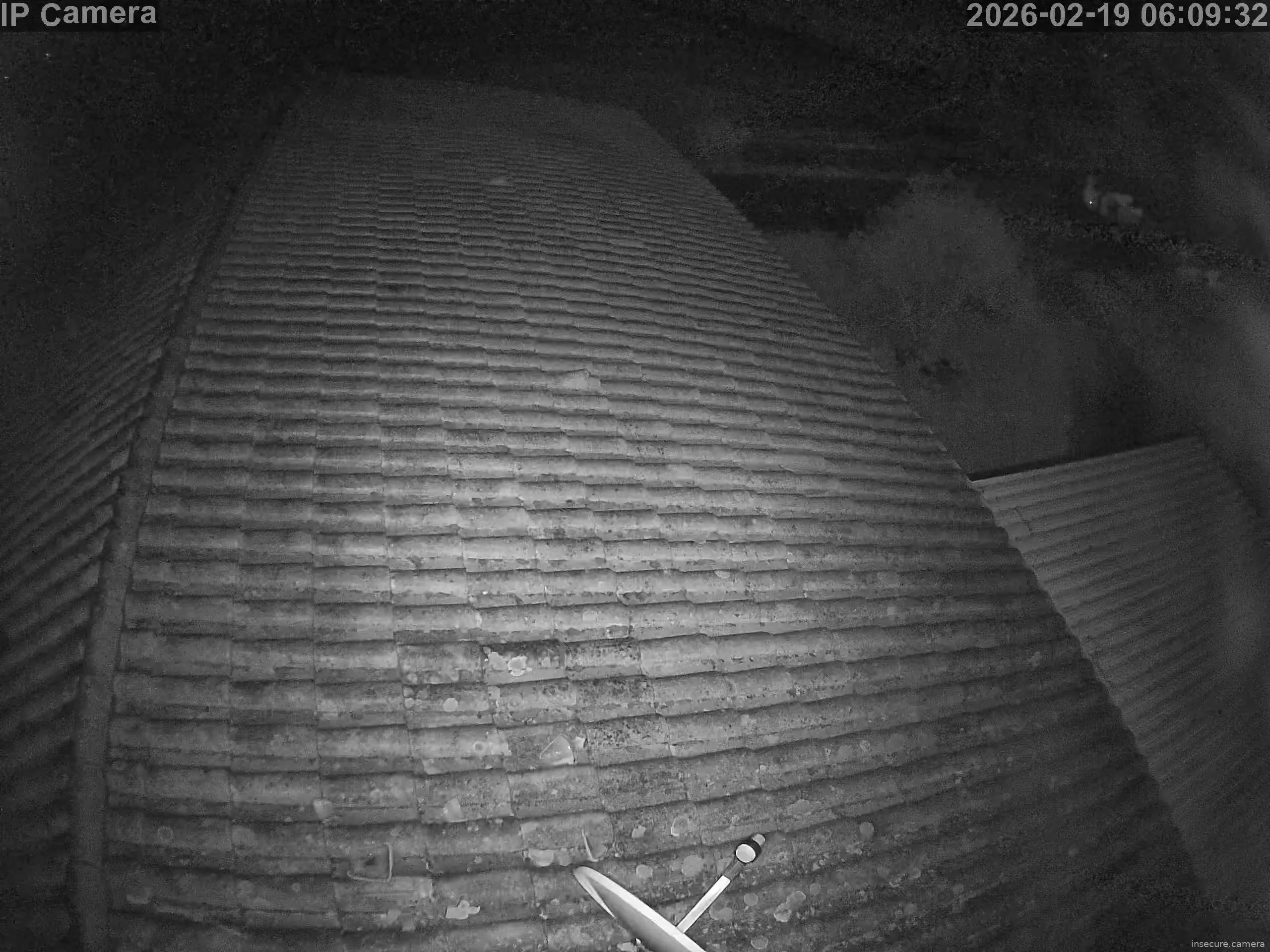 Capture from Feb 19, 2026 at 04:10 AM