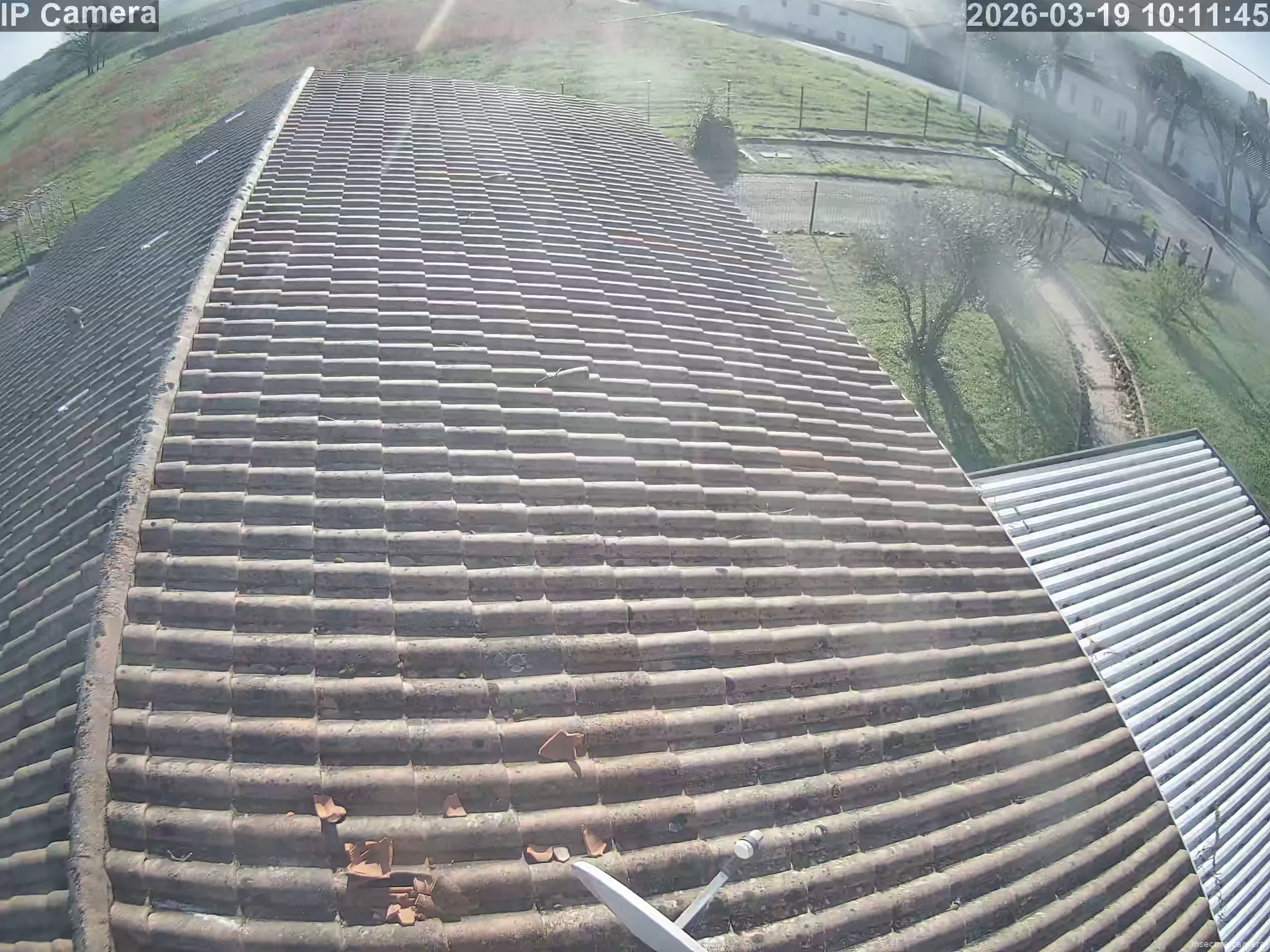 Capture from Mar 19, 2026 at 08:12 AM