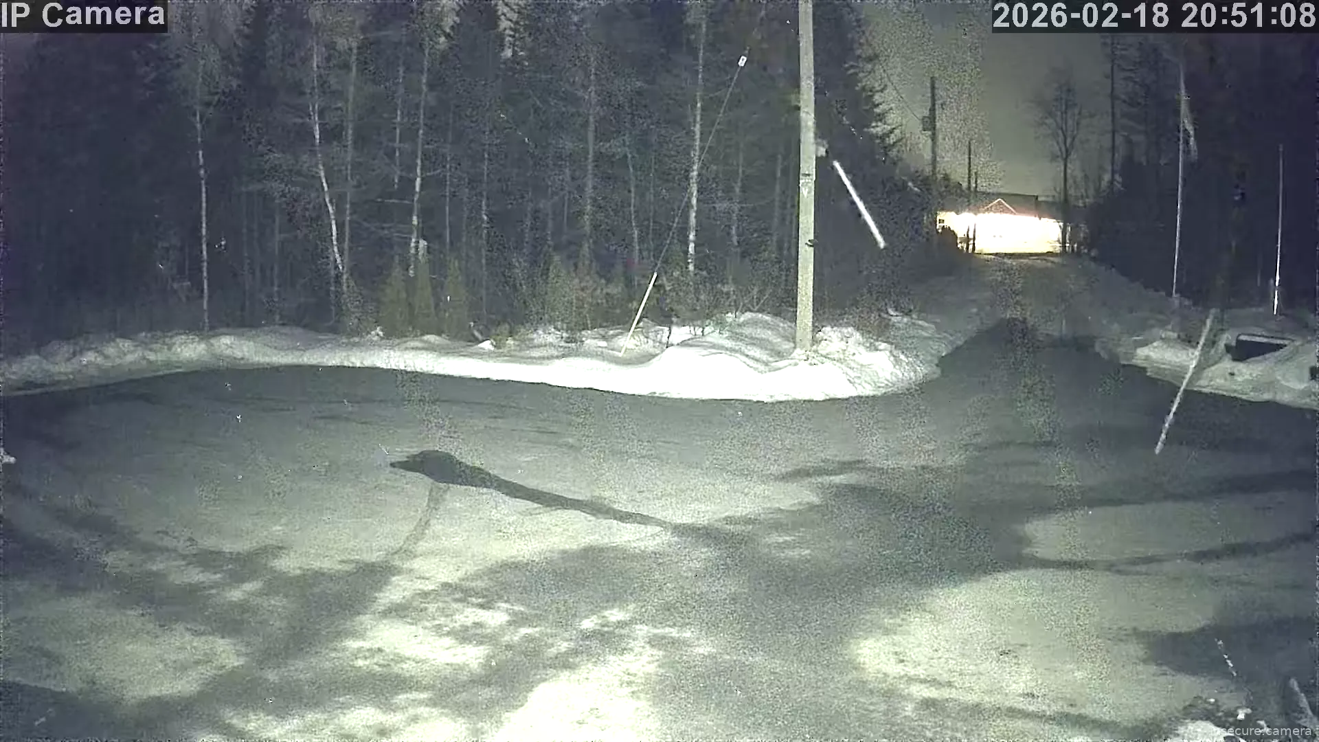 Capture from Feb 19, 2026 at 12:51 AM