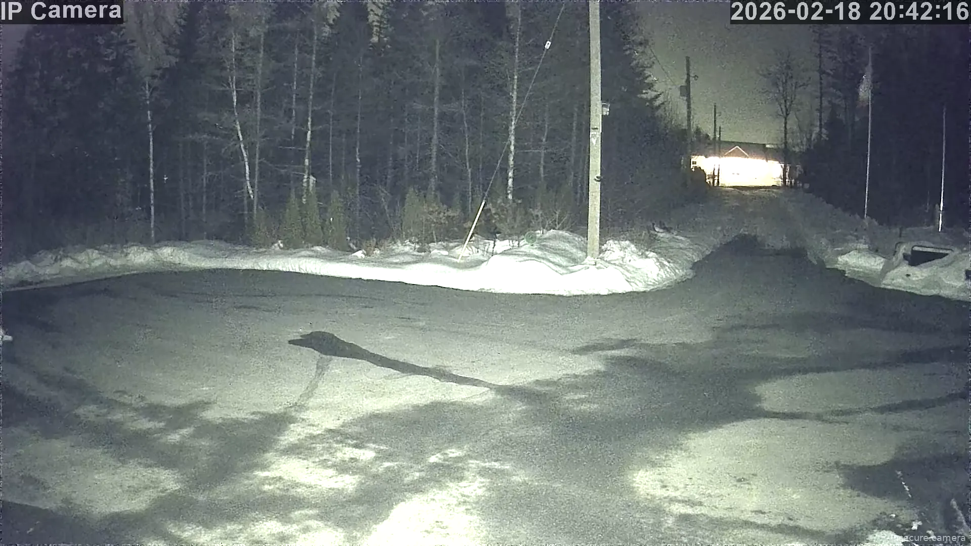 Capture from Feb 19, 2026 at 12:43 AM