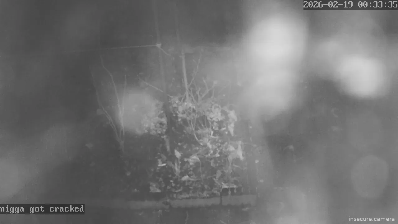 Capture from Feb 19, 2026 at 12:34 AM