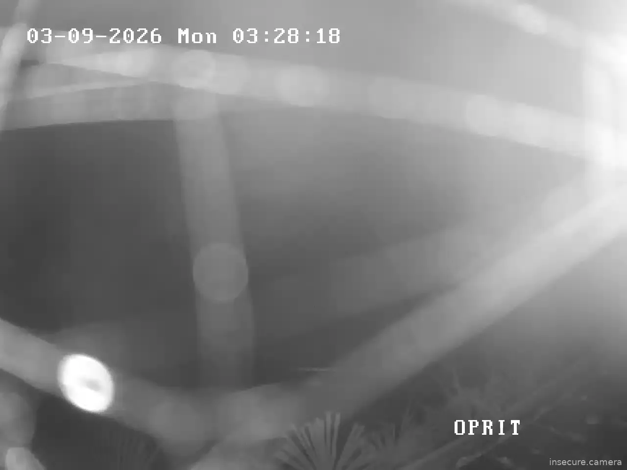 Capture from Mar 09, 2026 at 02:19 AM