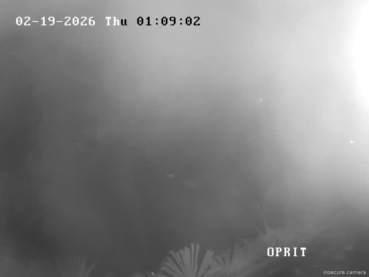 Capture from Feb 18, 2026 at 11:59 PM