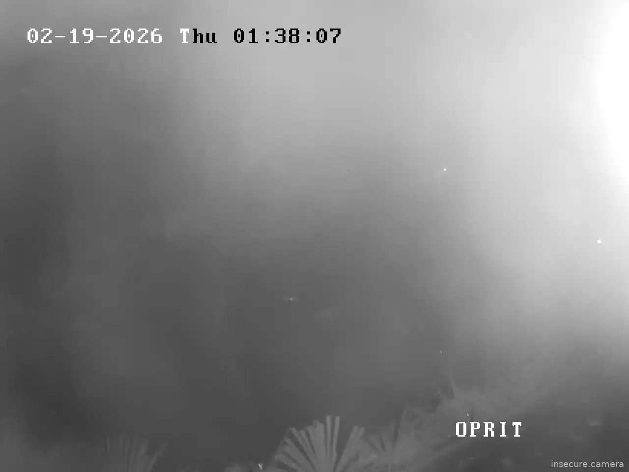 Capture from Feb 19, 2026 at 12:28 AM