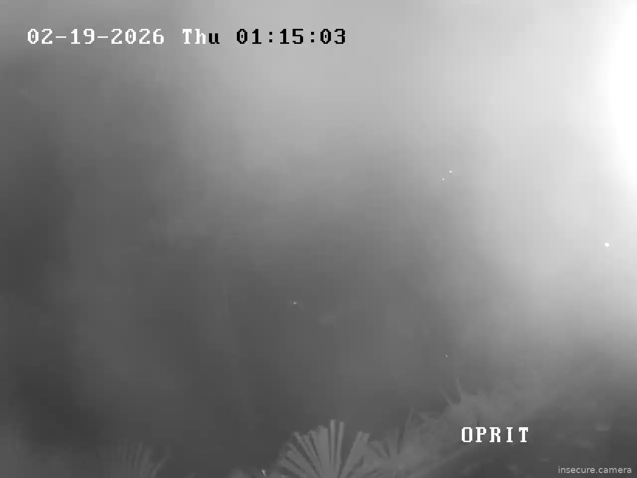 Capture from Feb 19, 2026 at 12:05 AM