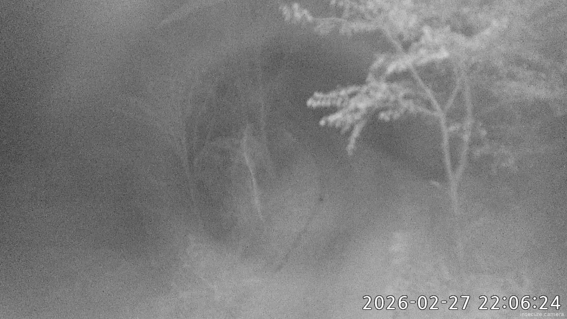 Capture from Feb 27, 2026 at 01:06 PM