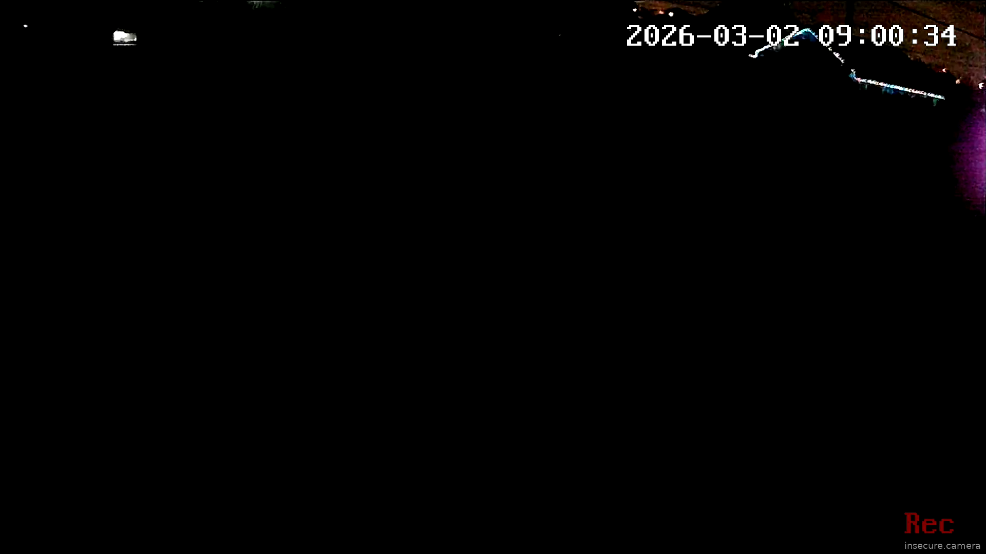 Capture from Mar 02, 2026 at 01:00 AM