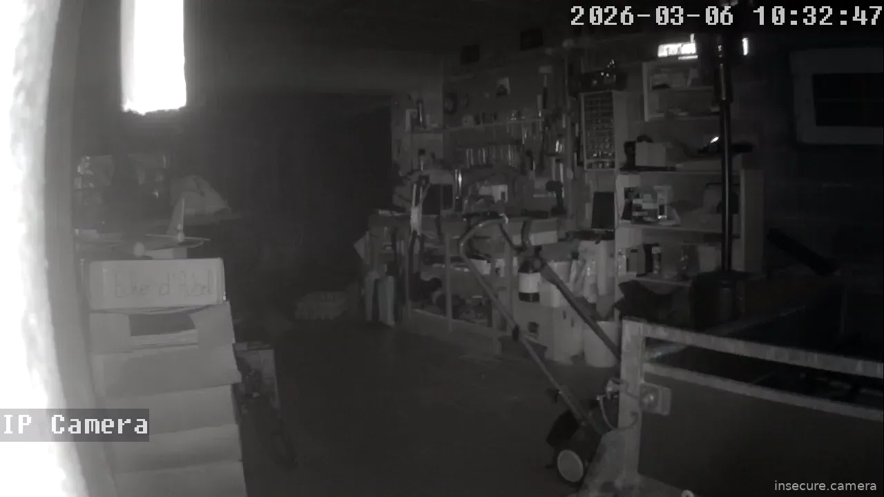 Capture from Mar 06, 2026 at 02:33 AM