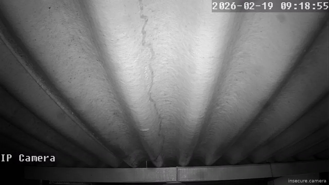 Capture from Feb 19, 2026 at 01:19 AM