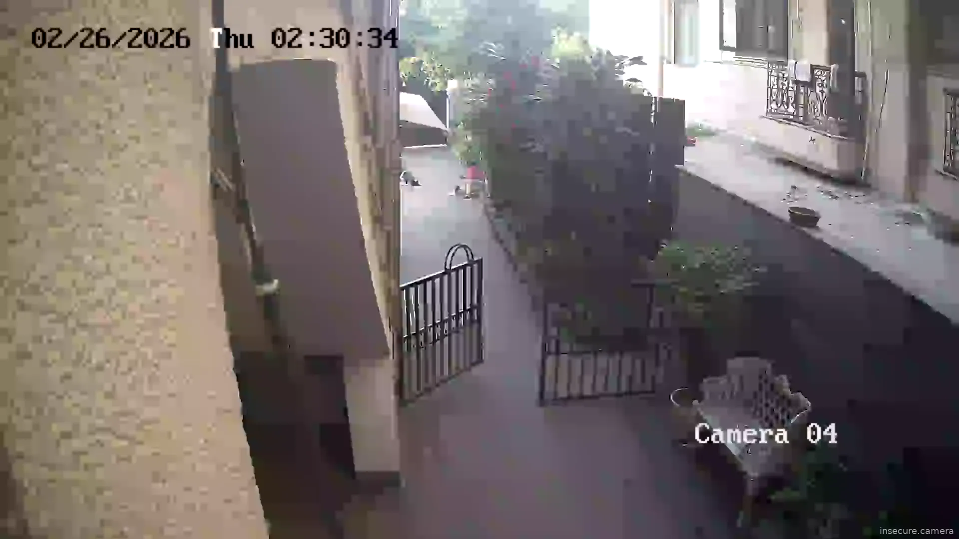 Capture from Mar 03, 2026 at 11:36 AM